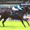 Asfoora joins Australian greats with Royal Ascot win