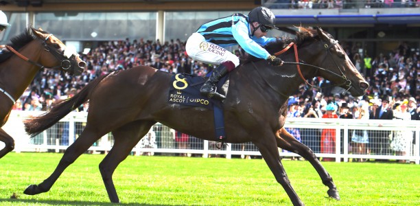 Asfoora joins Australian greats with Royal Ascot win