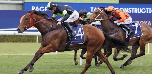 Joe Pride pair hit the road for Flemington