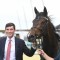 OTI unearth Cox Plate hopeful at Royal Ascot