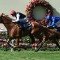 Kyprios too good in the Ascot Gold Cup