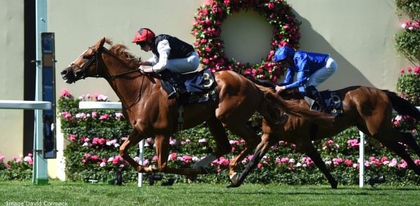 Kyprios too good in the Ascot Gold Cup