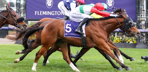 Oh baby! Four at Flemington for Lindsay Park