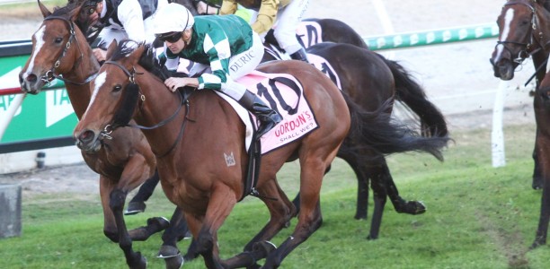 Classic win caps sweet Ipswich Cup day for Vlad Duric