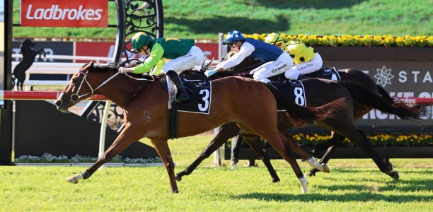 Early odds suggest Glasshouse Handicap is wide open