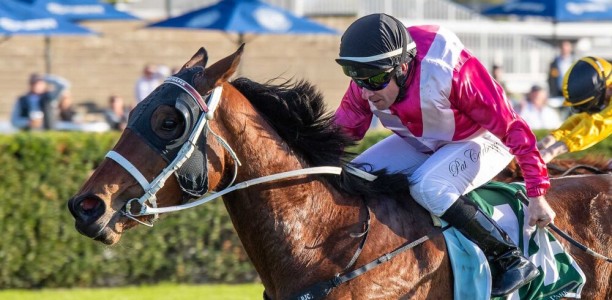 It’s all love for Grantham’s Belmont Oaks bid