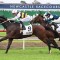 Betting apps in for a shocka if favourite wins Caloundra Cup