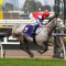 Berkshire Breeze eyes Melbourne Cup after easy Flemington win