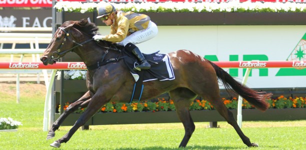 Sir John Monash Stakes appeal for Party For Two