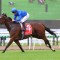 Godolphin sprinter heads early odds in rescheduled Ramornie Handicap