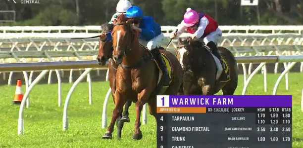 Tarpaulin has Warwick Farm rivals covered