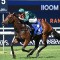 Espiona to be sold by Magic Millions