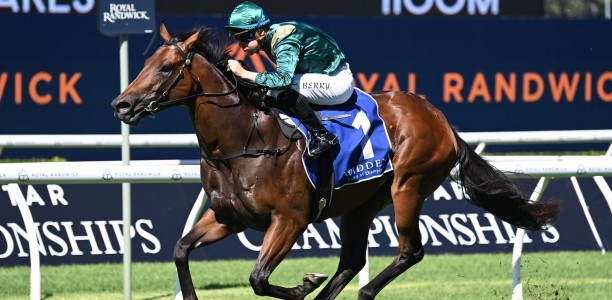 Espiona to be sold by Magic Millions