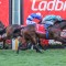 Romantic Warrior won’t defend Cox Plate