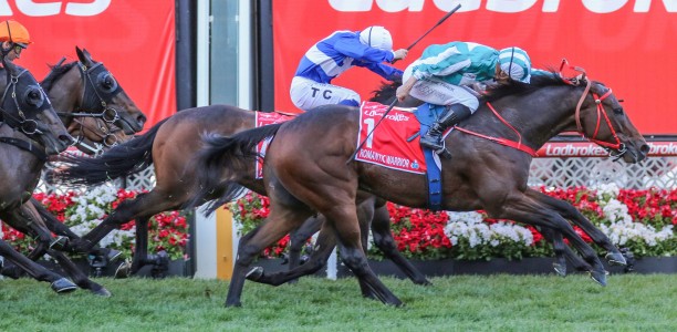 Romantic Warrior won’t defend Cox Plate