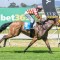 Decision pending on Sandown start