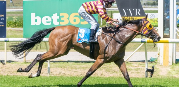 Decision pending on Sandown start