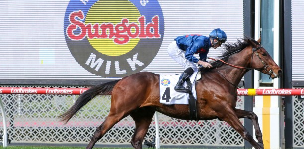 Potential stallion gelded in hope to turn form around