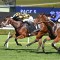 Could Waller mare emerge as an Everest Star?