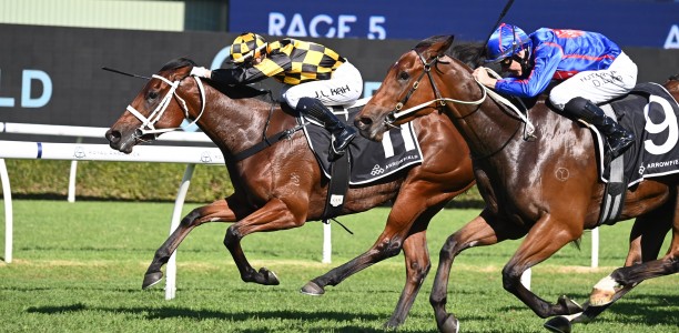 Could Waller mare emerge as an Everest Star?