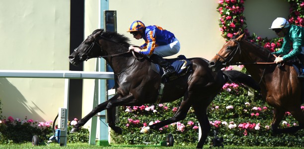 Auguste Rodin heads King George Challenge