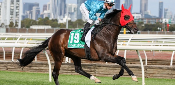 Bookmakers have Bear Story at short odds in the Darwin Cup