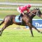 Boltsaver out for second Sandown assault