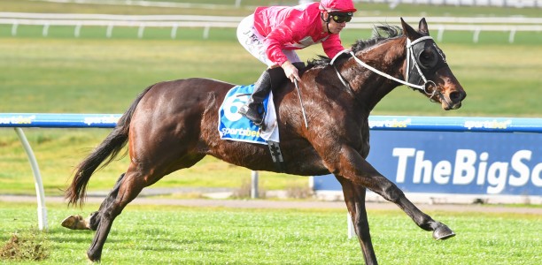 Boltsaver out for second Sandown assault