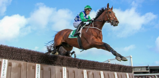 Stern Idol in line for Crisp Steeple repeat