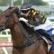 Punters plunge on Queensland raider in the Aurie’s Star Handicap