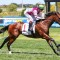 Kerrin McEvoy eyes spring glory with Coleman