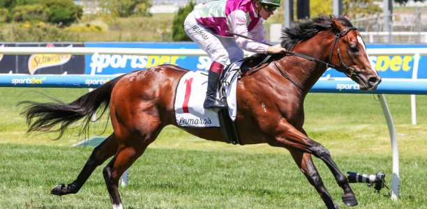 Kerrin McEvoy eyes spring glory with Coleman