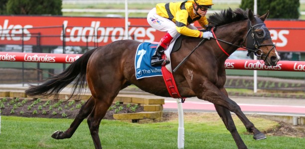 Williams reunites with Perth speedster at The Valley