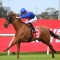 In-form gelding set to continue Golden run