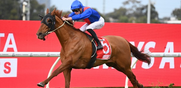 In-form gelding set to continue Golden run