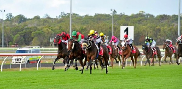 Interesting start to Saturday’s Sunshine Coast meeting