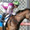 Sprinter bounces back at The Valley