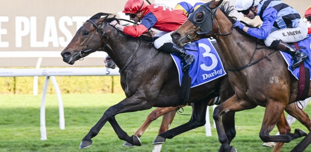 Schwarz rockets to Missile Stakes victory