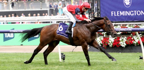 Schwarz to chase G1 glory in Manikato Stakes