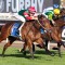 Amelia’s Jewel warms up for interstate return