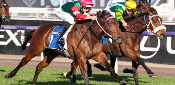 Amelia’s Jewel warms up for interstate return