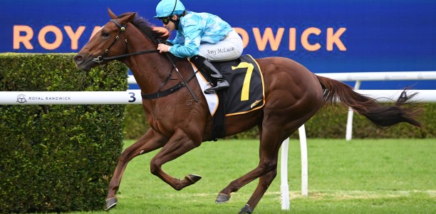 Madrina to tick off Melbourne start