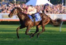 Black Caviar’s final foal passes away