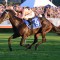 Black Caviar’s final foal passes away