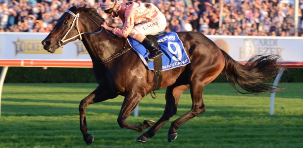 Black Caviar’s final foal passes away