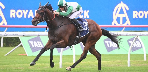 Widdup stable ‘scallywag’ poised for Randwick resumption