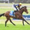 Kalkallo lands debut Sandown win