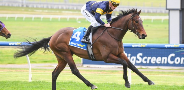 Kalkallo lands debut Sandown win