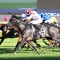 Bridge all but rules out Everest shot for Legend