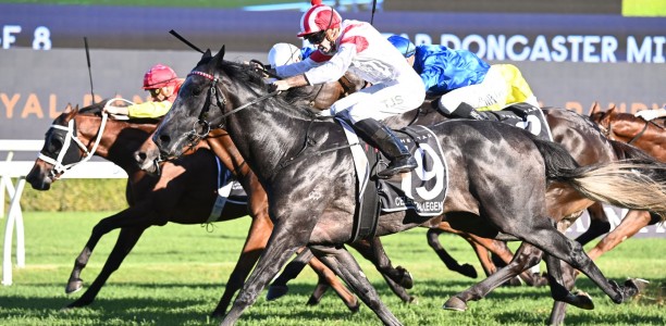 Bridge all but rules out Everest shot for Legend